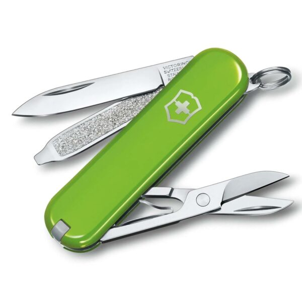 Victorinox Smashed Avocado