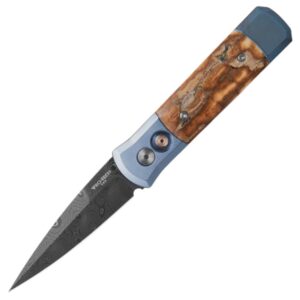 ProTech Godson Custom 004