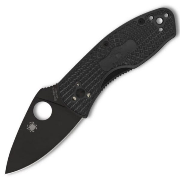 Spyderco Ambitious LTW Black